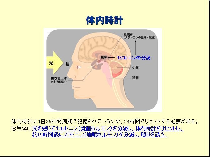 ねむり知識 Home ねむり知識 体内時計 体内時計 Tweet わたちたち人間は本来 太陽が昇るタイミングに合わせて目覚め 夜暗くなるとともに体がねむりの準備を始めます これは体の中に体内時計があるからです 体内時計は機械の時計に頼らなくて