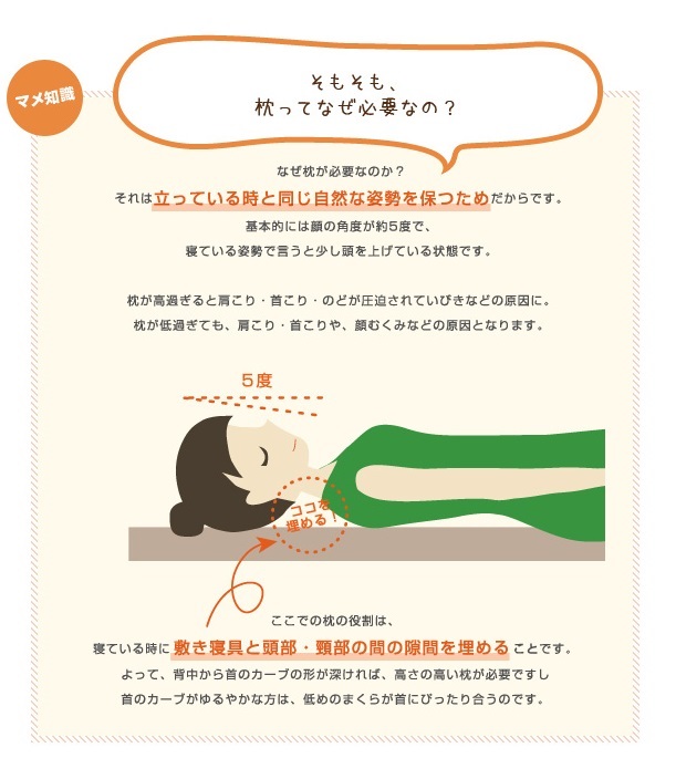 第８回たかが枕 されど枕目覚めた時の睡眠感は 枕で変わる